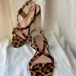JCrew Strappy Buckled Cora Flats Calf Hair (Leopard)